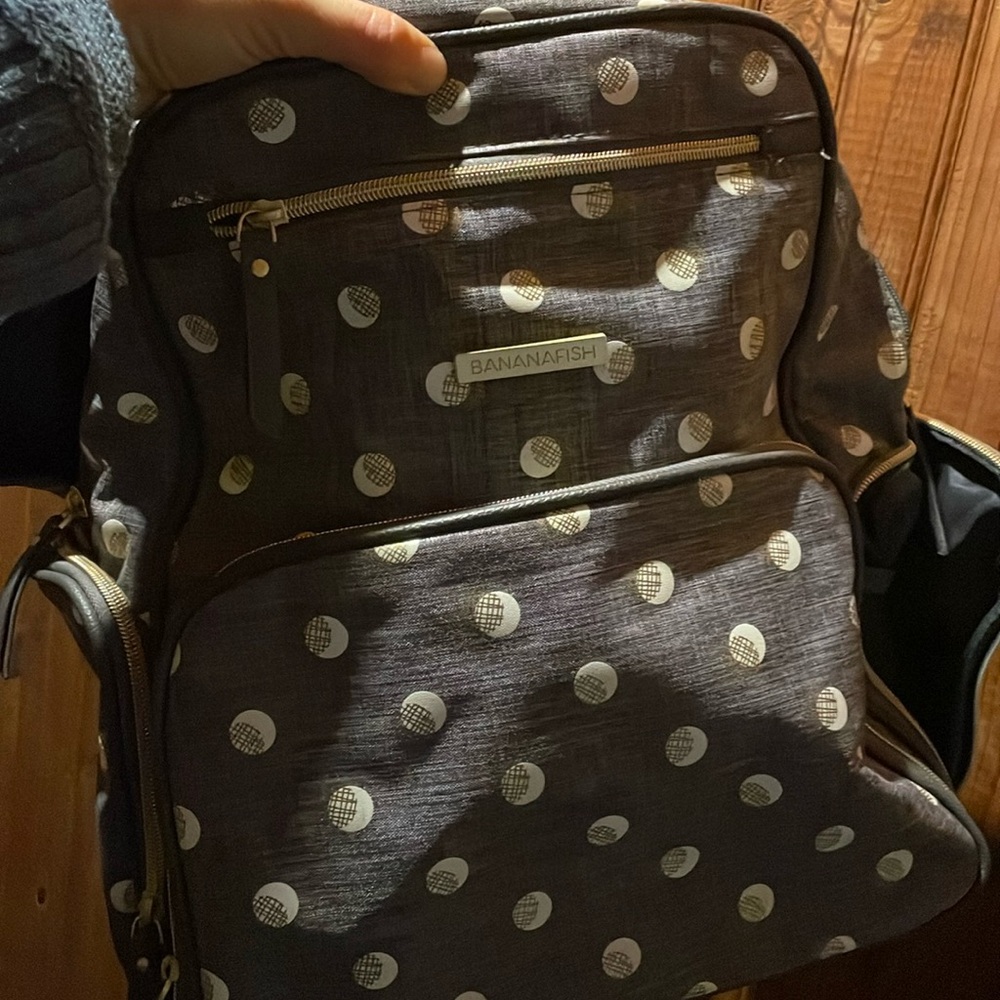 Back pack / diaper bag